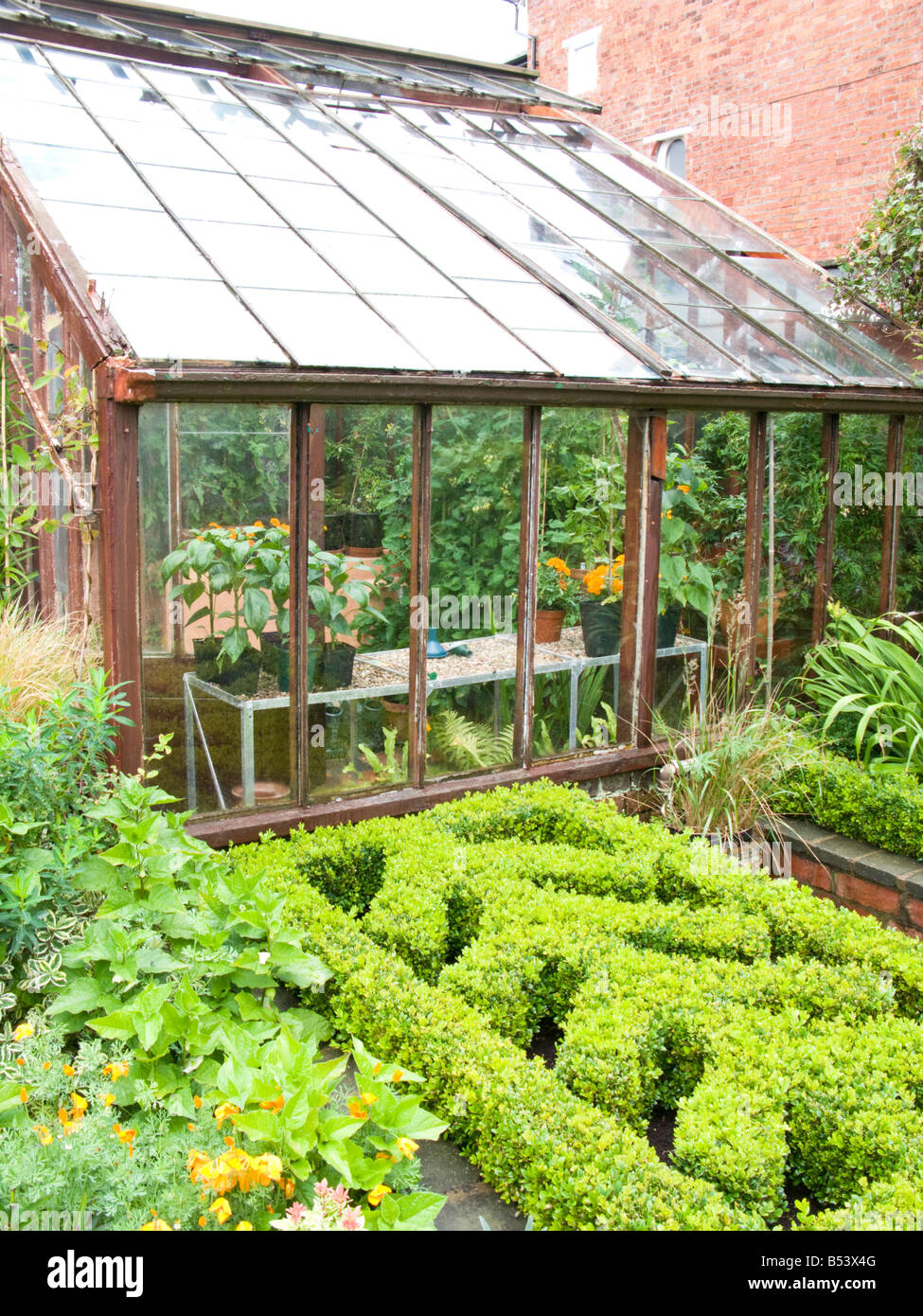 greenhouse with box chevron topiary Stock Photo