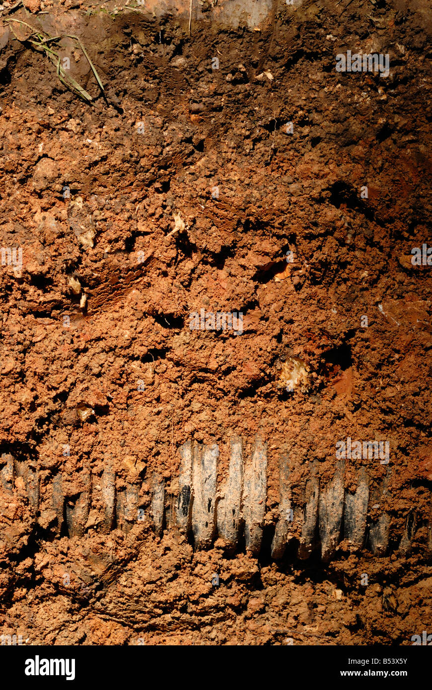 Soil cross section hi-res stock photography and images - Alamy