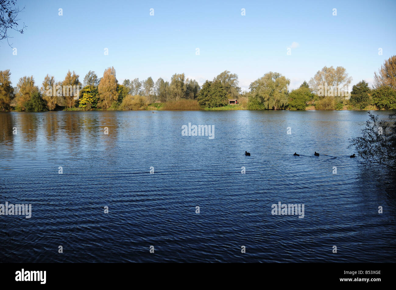 Lake at Barnwell Country Park, Oundle, Northamptonshire, England, UK