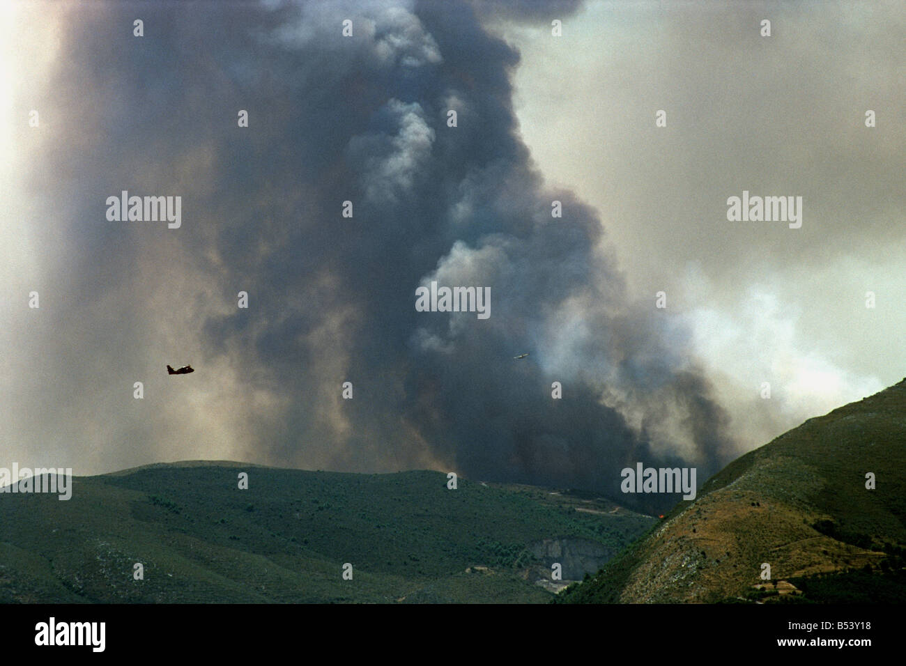 Zakynthos forest fire Stock Photo Alamy