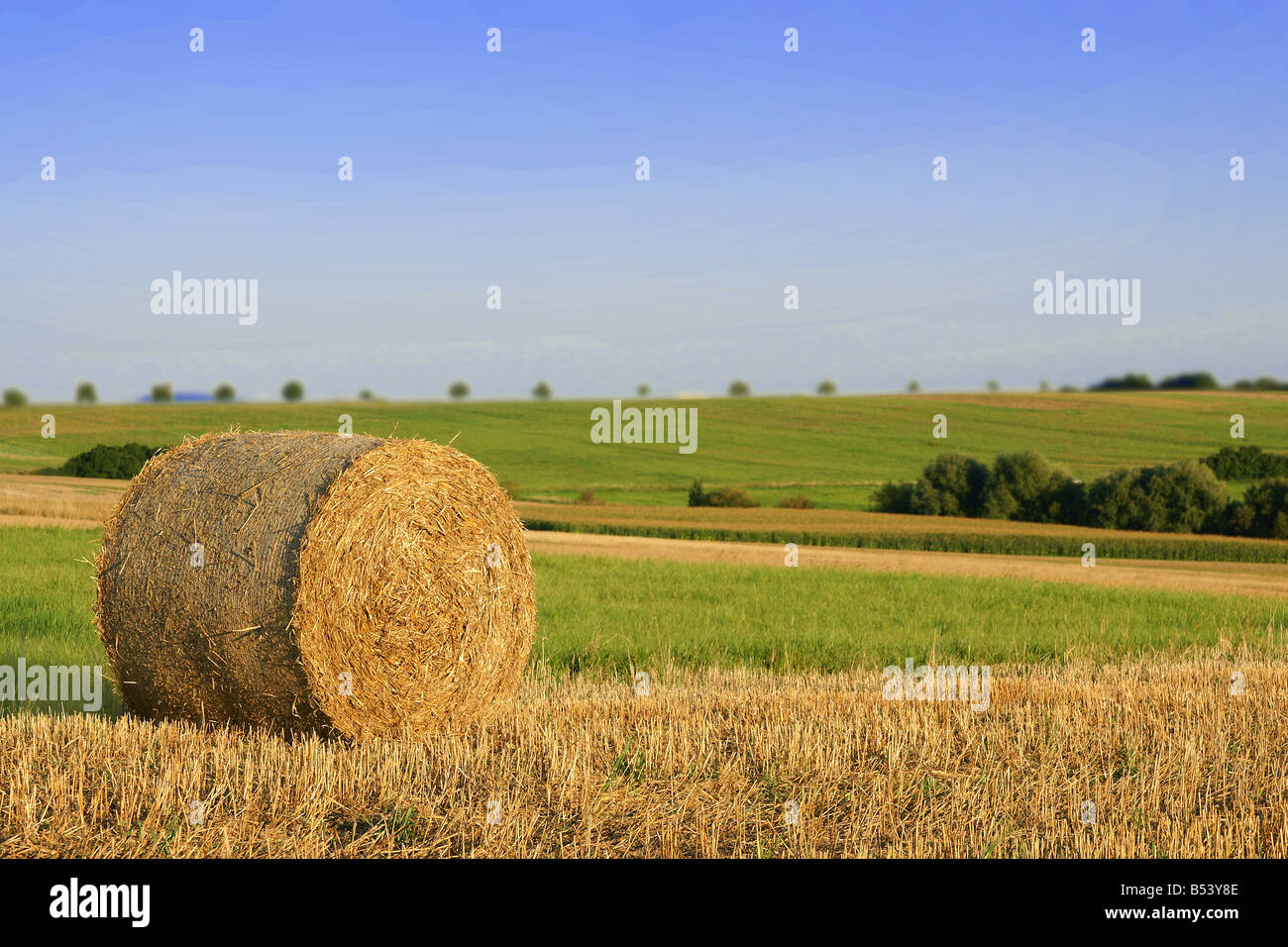 Straw bale on field under blue sky Stock Photo - Alamy