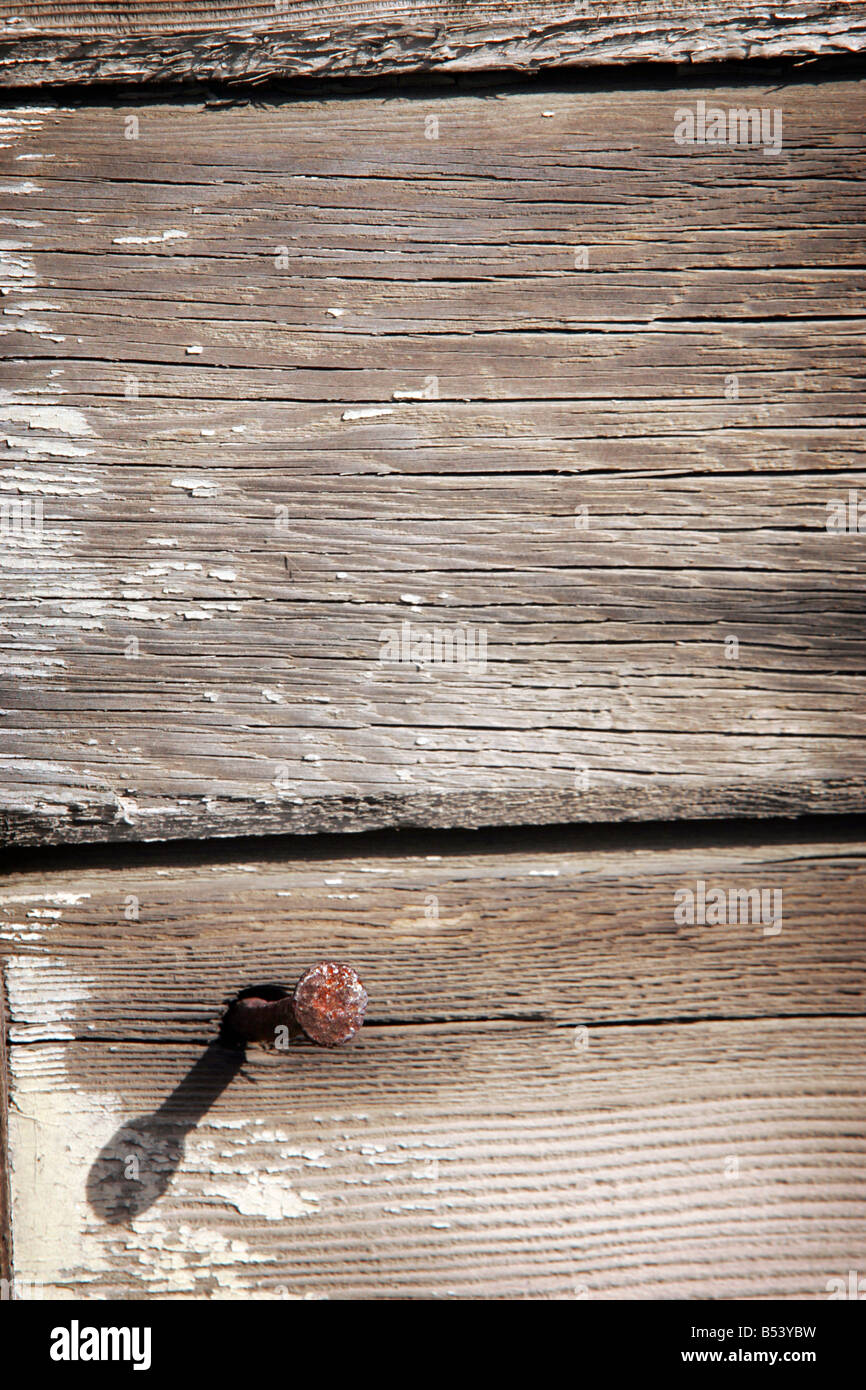 A rusty nail head casting an interesting shadow on the side of an old