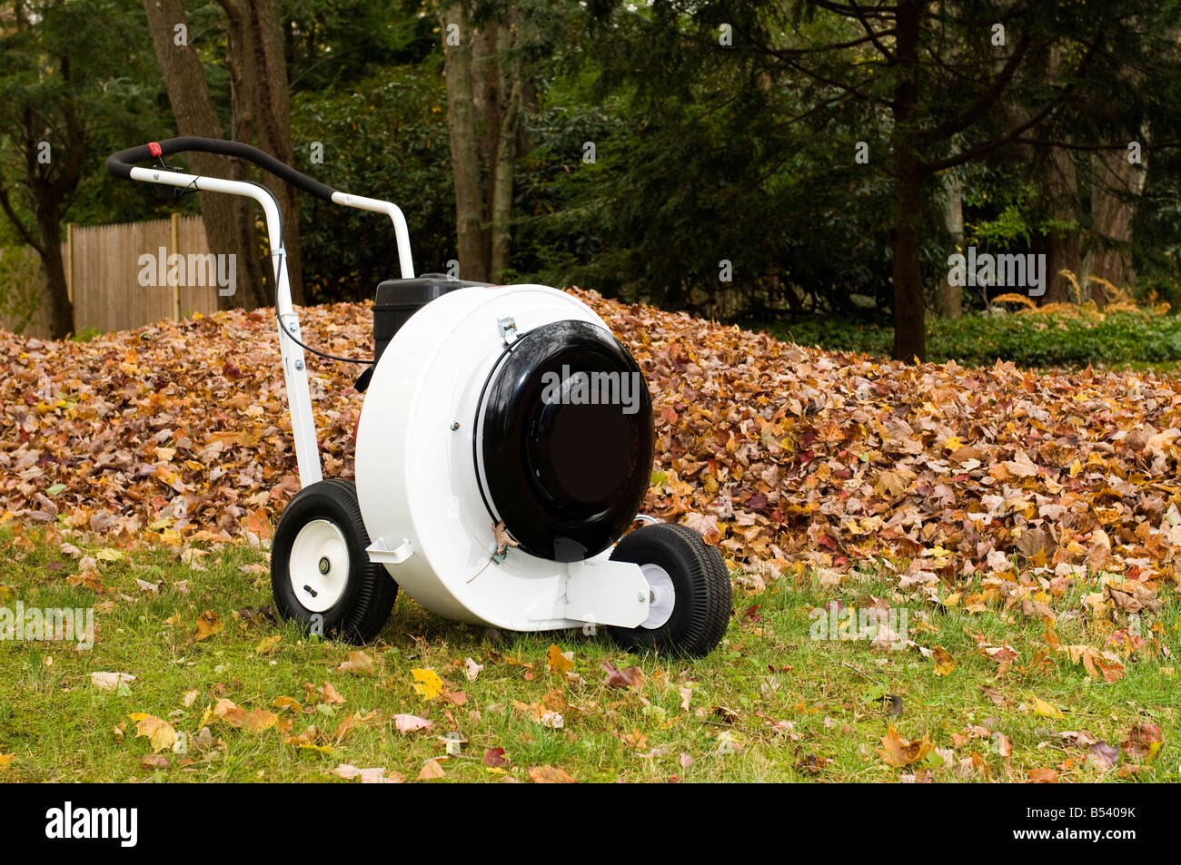leaf blower professional push style with pile of leaves suburban home in  the autumn Stock Photo - Alamy
