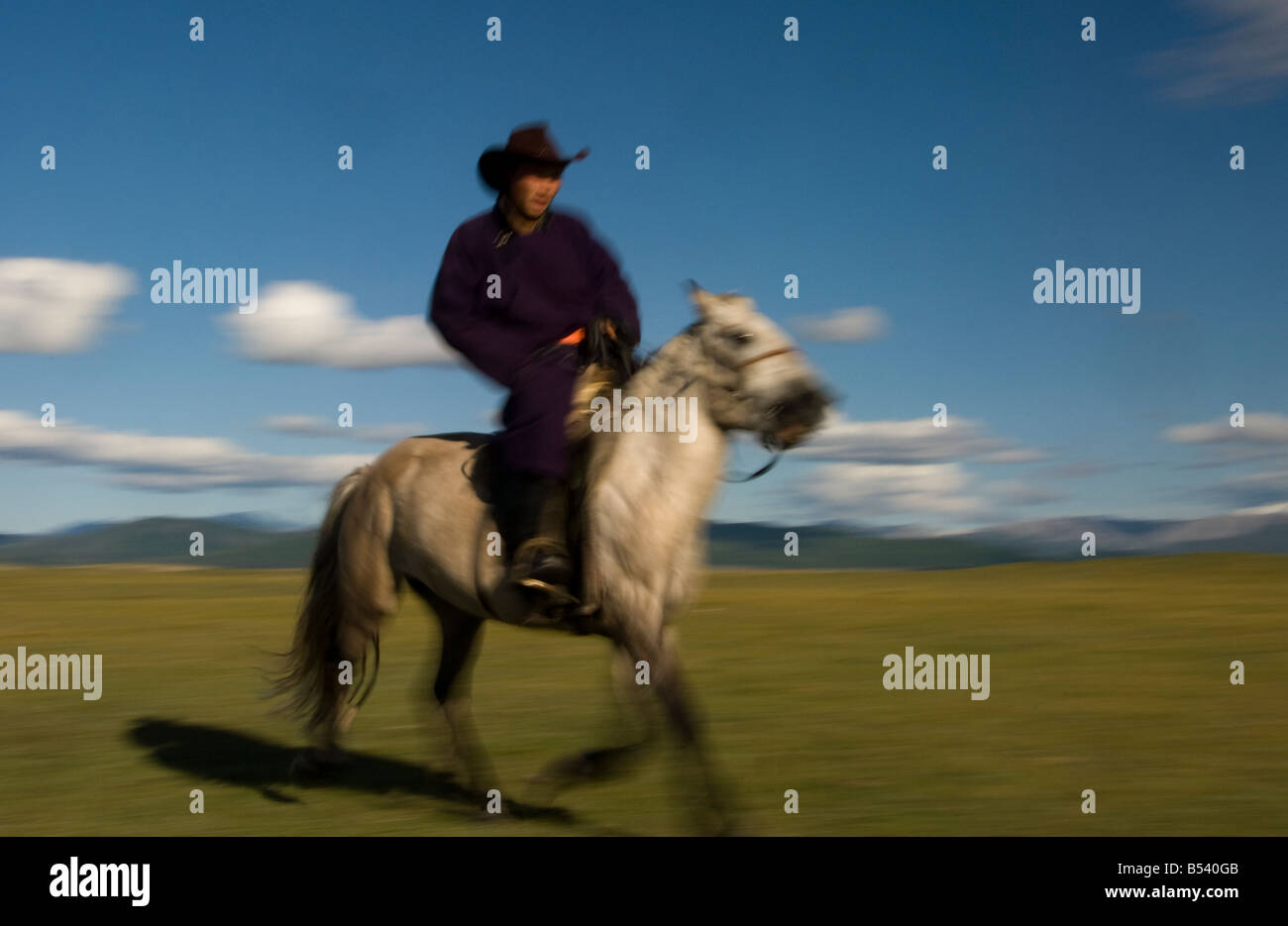 Nomad at gallop North Mongolia Stock Photo - Alamy
