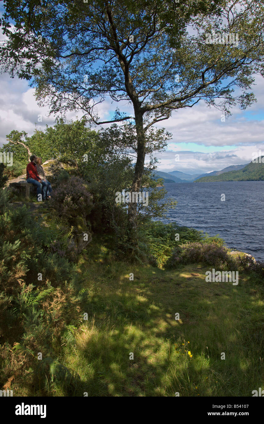 Looking north from Firkin Point Inverbeg west bank Loch Lomond National