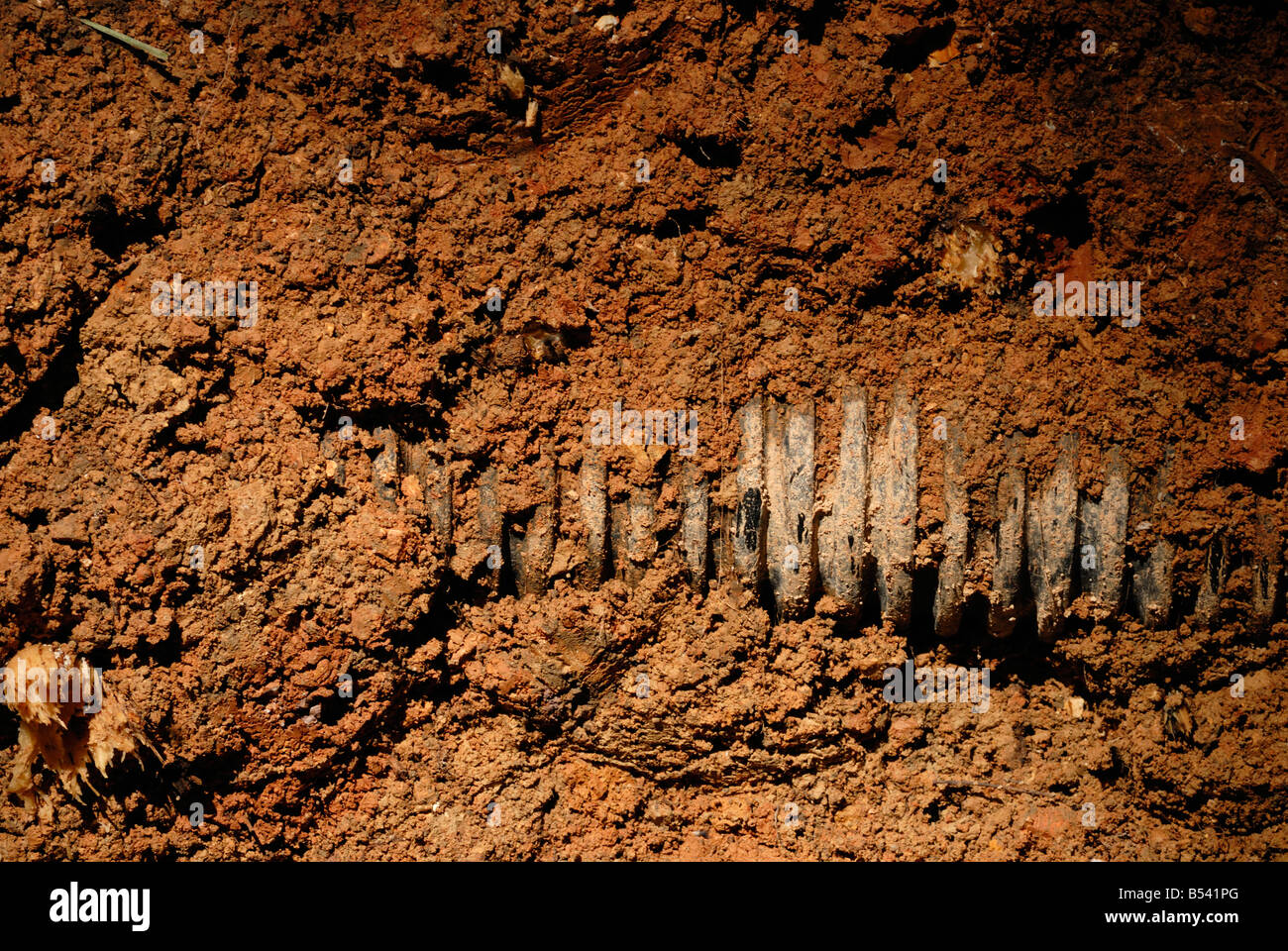 Cross section of earth Stock Photo - Alamy