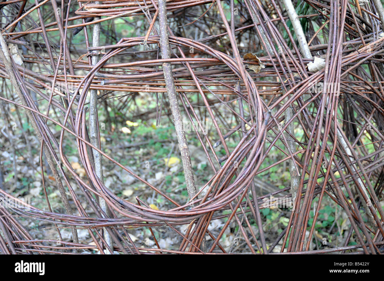 Willow weaving Stock Photo Alamy