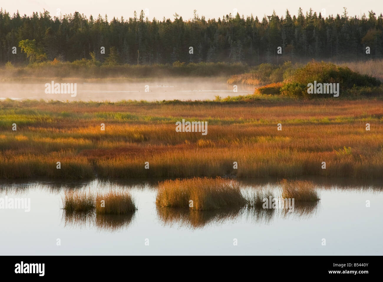 Wetlands Waycobah First Nation, Cape Breton, Nova Scotia, Canada