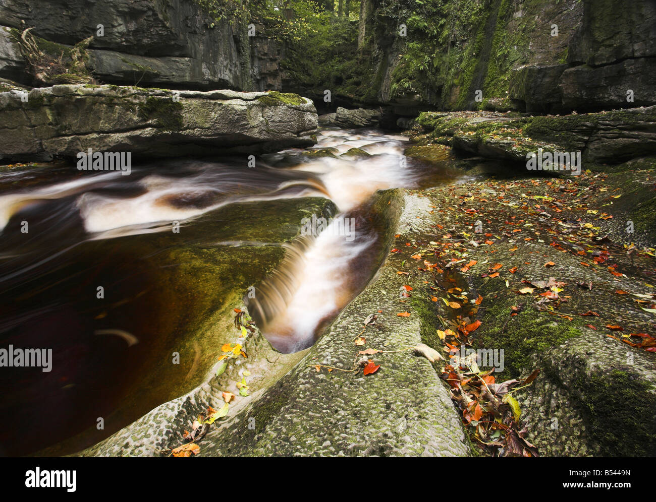 How Stean Beck flowing through the northern end of How Stean Gorge Nidderdale, North Yorkshire, UK Stock Photo