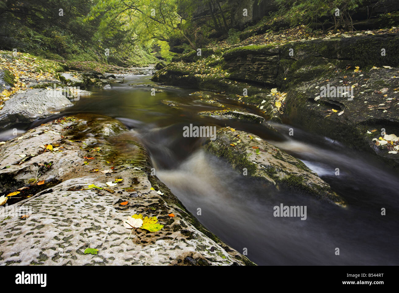 How Stean Beck flowing through the Southern end of How Stean Gorge, Nidderdale, North Yorkshire, UK Stock Photo