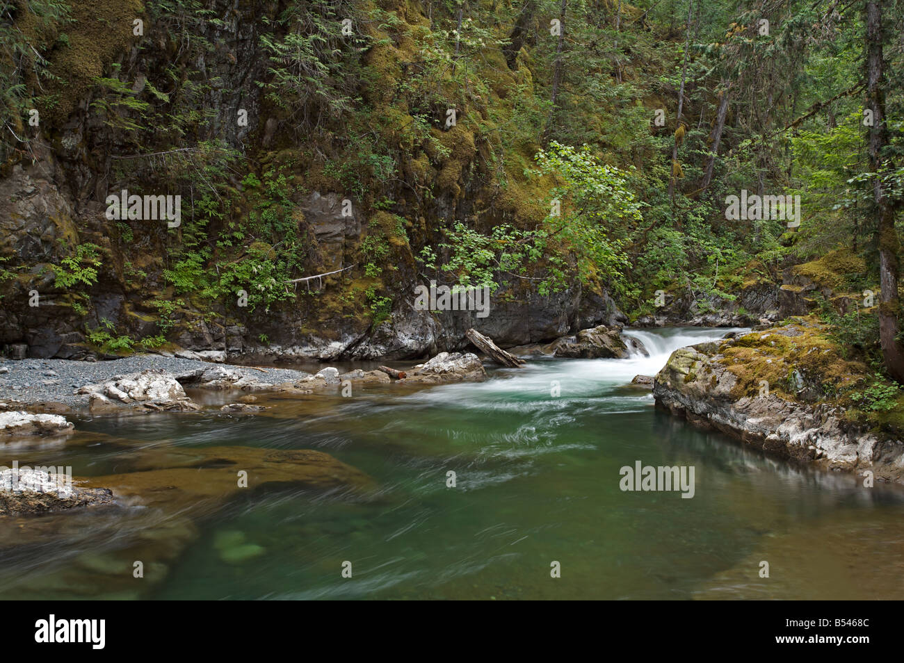 "Little Qualicum River Falls Stock Photo Alamy