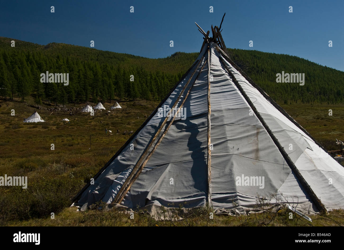 Tsaatan Tepee encampment Northern Mongolia Stock Photo