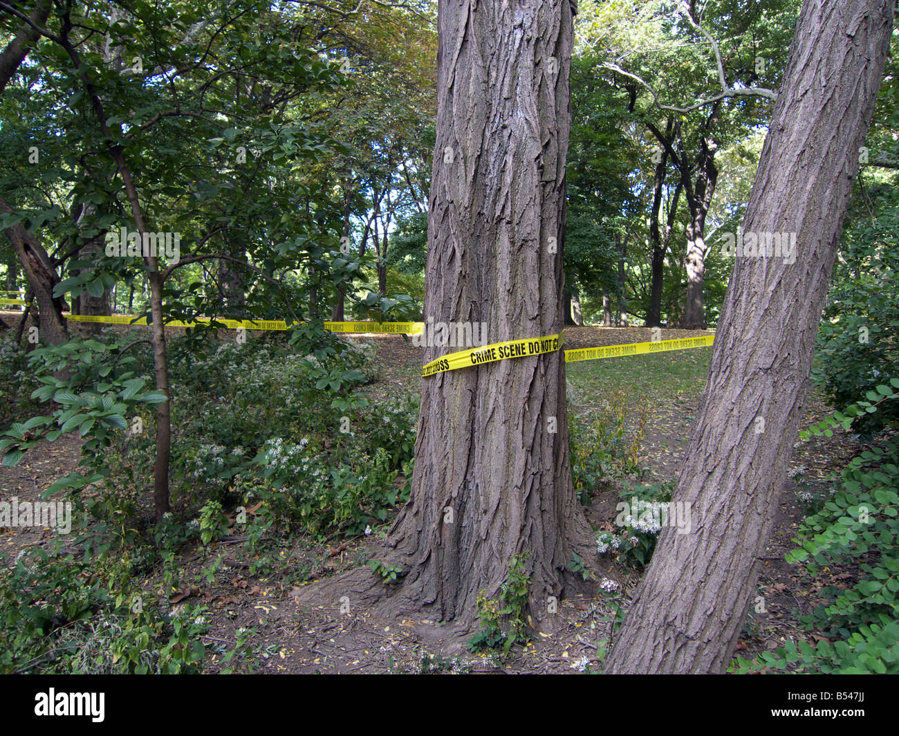 Crime scene tape new york hires stock photography and images Alamy