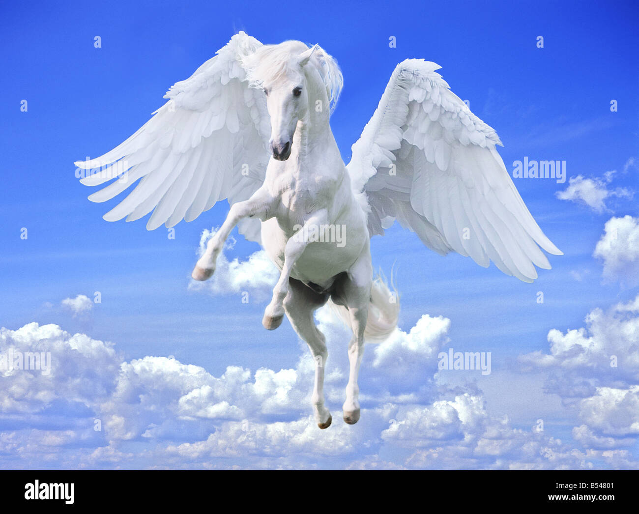 Pegasus in gallop with wings spread Stock Photo