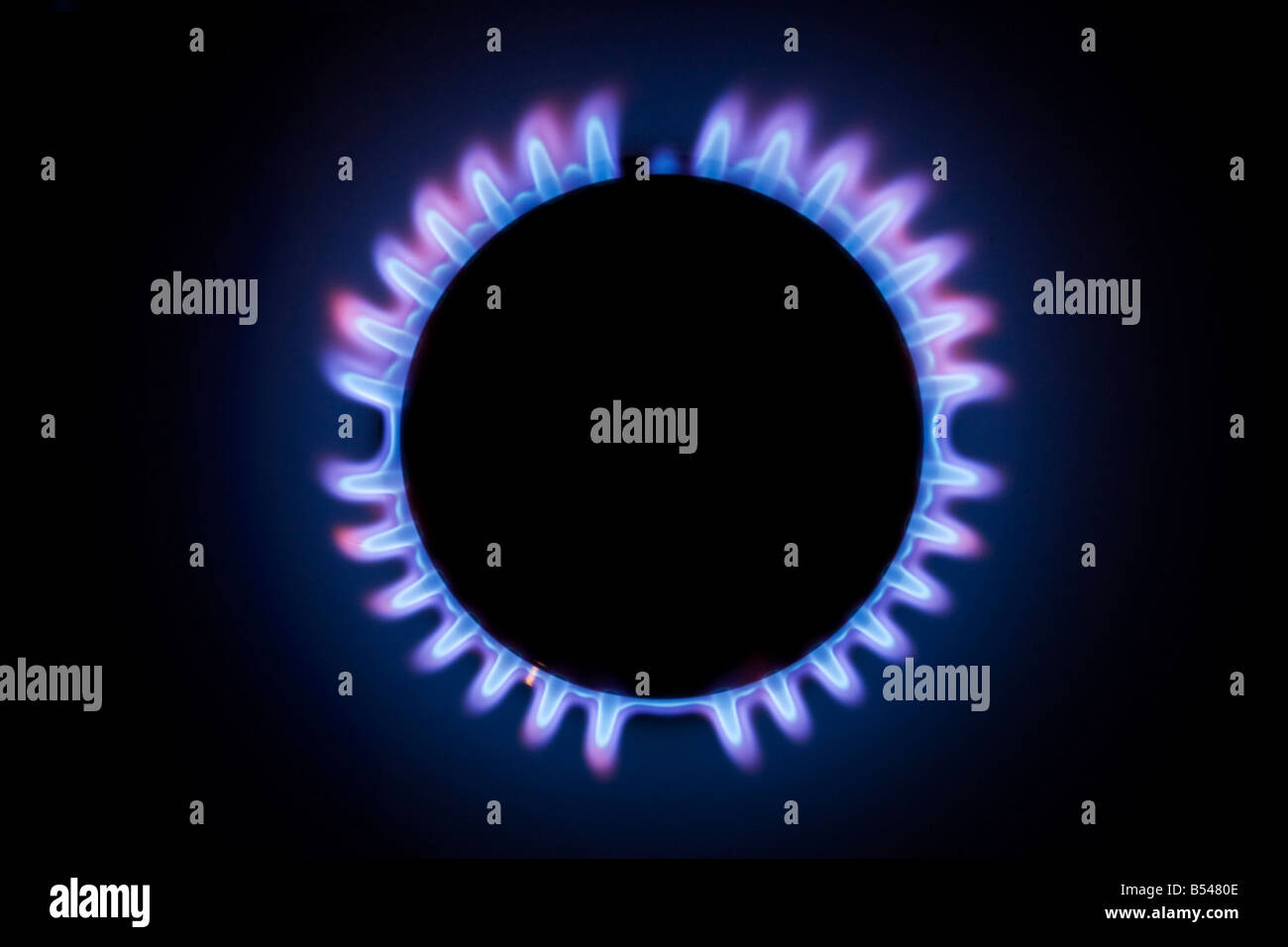 gas flames on a cooker ring Stock Photo