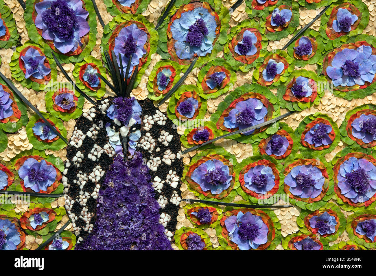traditional english well dressing detail of peacock Stock Photo Alamy