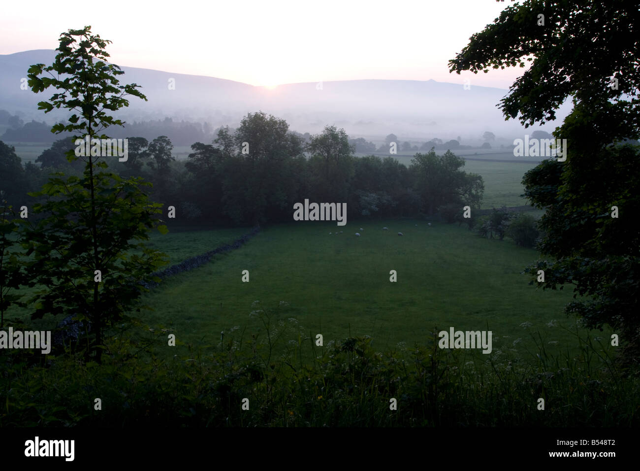 trees and farmland in the castleton valley peak district at dawn Stock ...