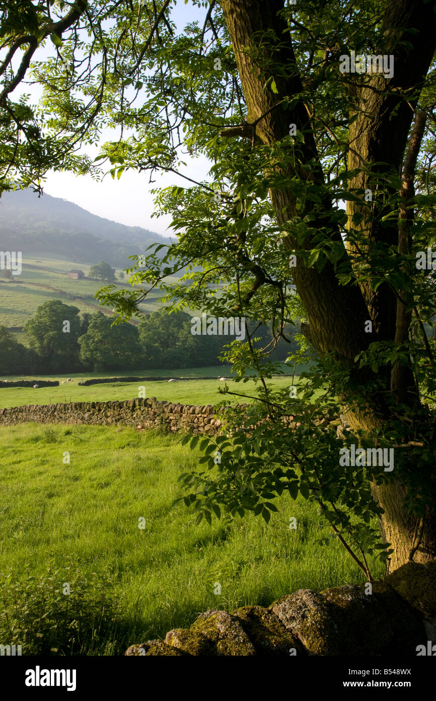 view over the derwent valley in the english peak district national park with farmland and traditional stone wall Stock Photo