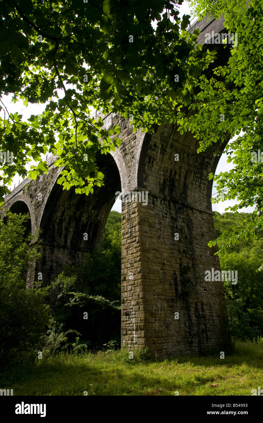 monsal head viaduct from the valley floor in the summer Stock Photo