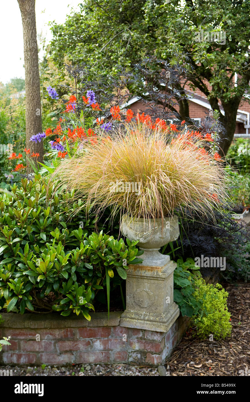 planter with Pheasant Grass Stock Photo