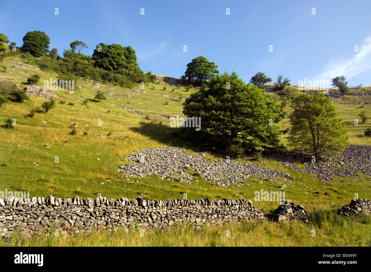 derbyshire summer landscape in cressbrook dale with trees and stone walls blue sky fields sssi Stock Photo