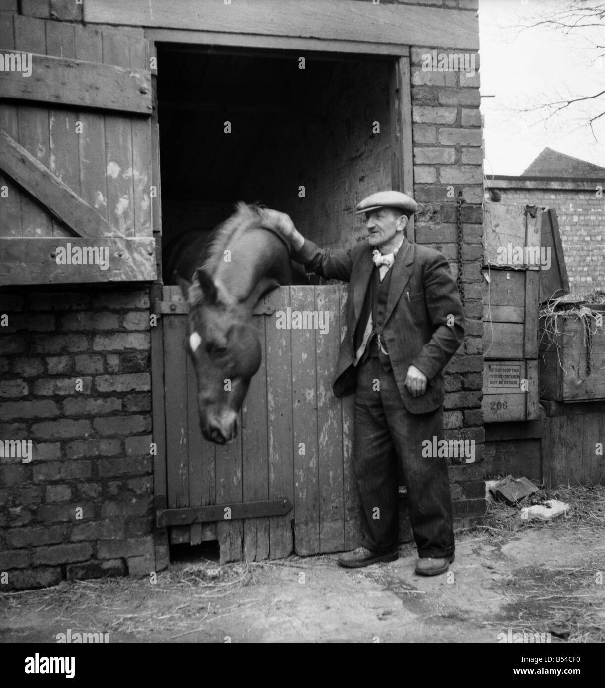 Eccentric millionaire Bob Hiddle patting his horse at his stable. &#13;&#10;March 1953 &#13;&#10;D1440-001 Stock Photo