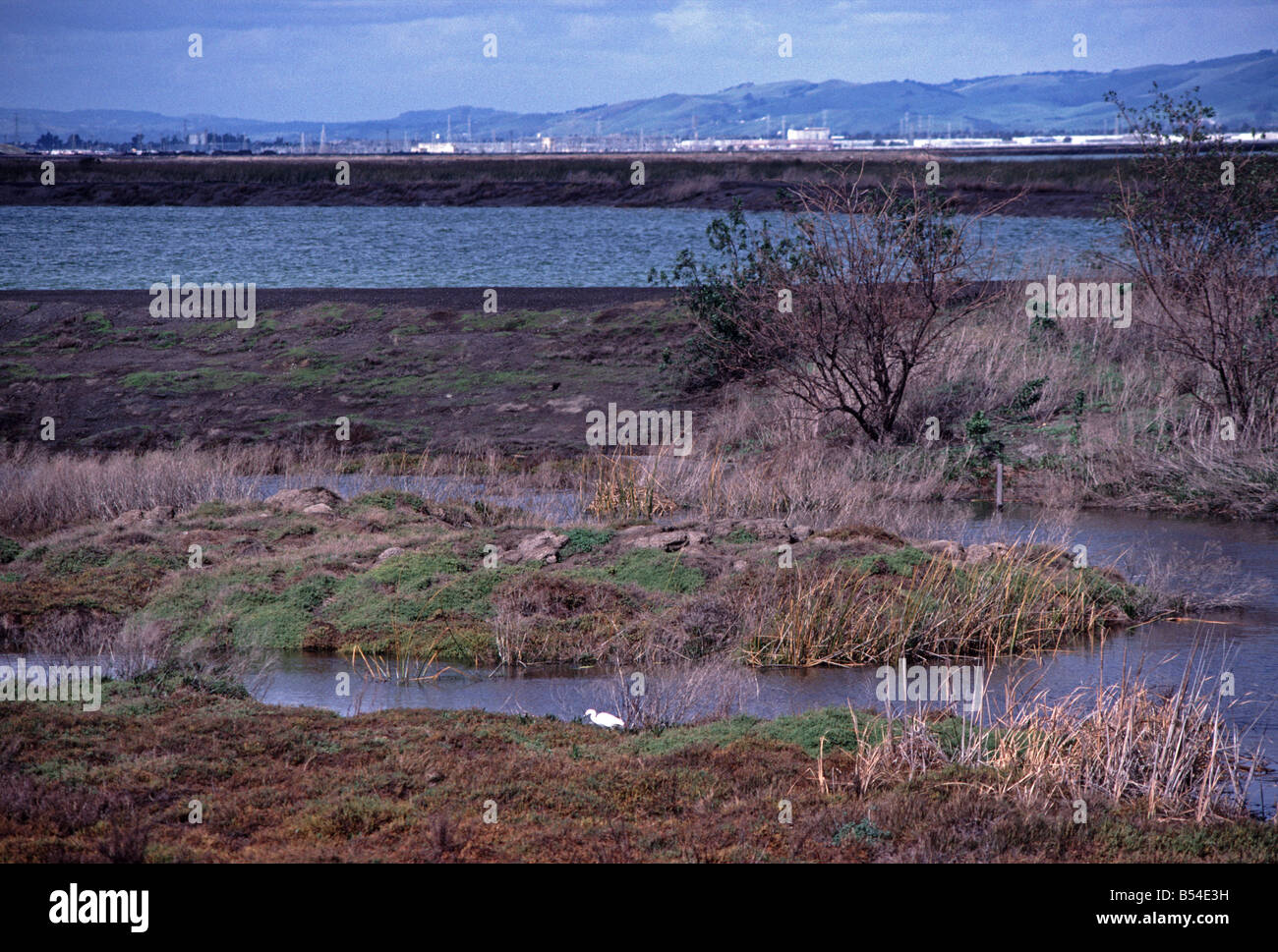 San Francisco Bay National Wildlife Refuge Alviso California largest US urban refuge Stock Photo