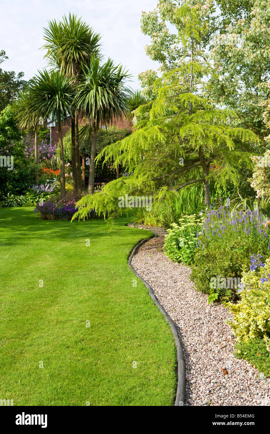 Large striped lawn with cordyline and curving gravel path. Stock Photo