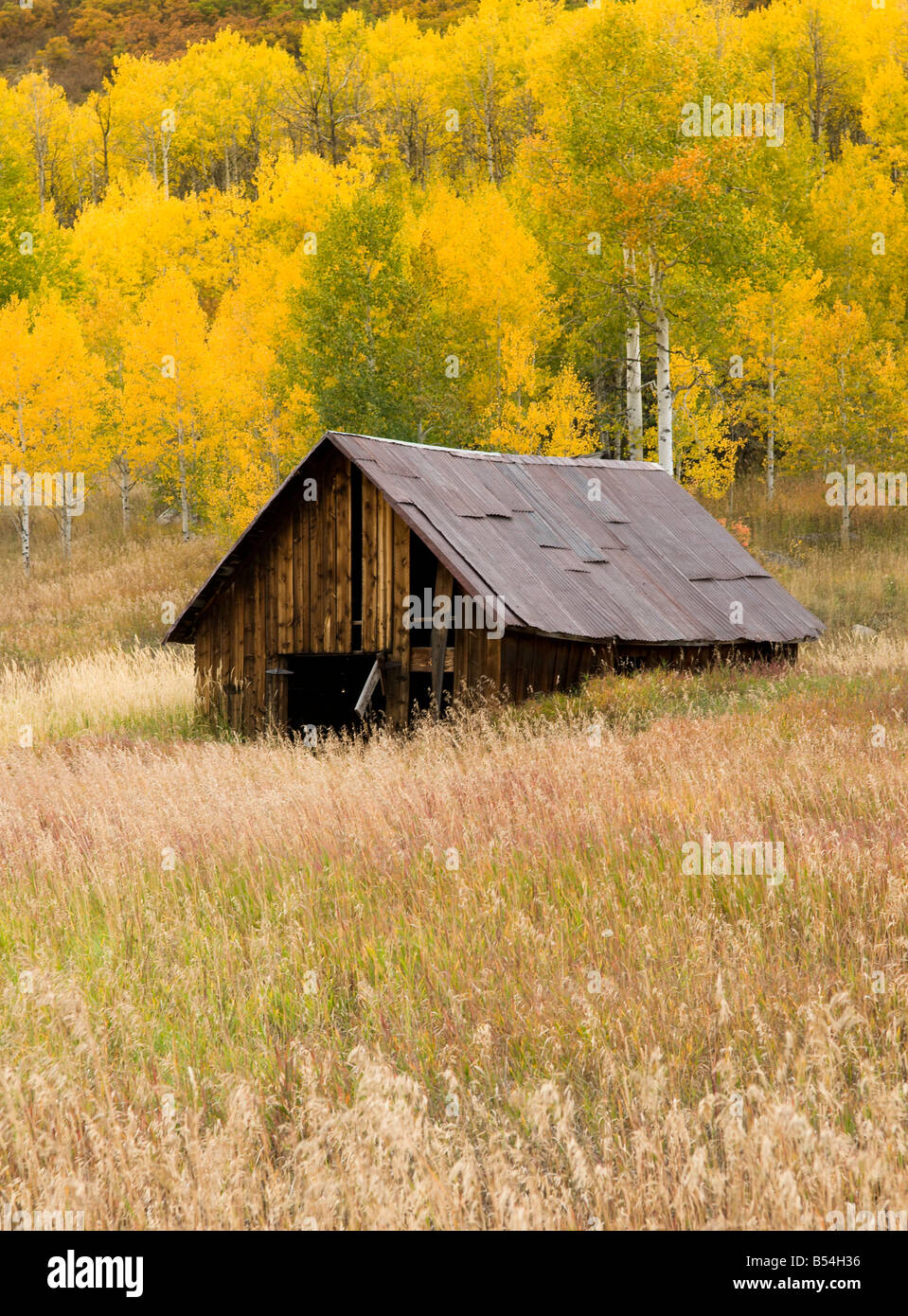 An Old Miner S Log Cabin Sitting In A Grass Field Set Against