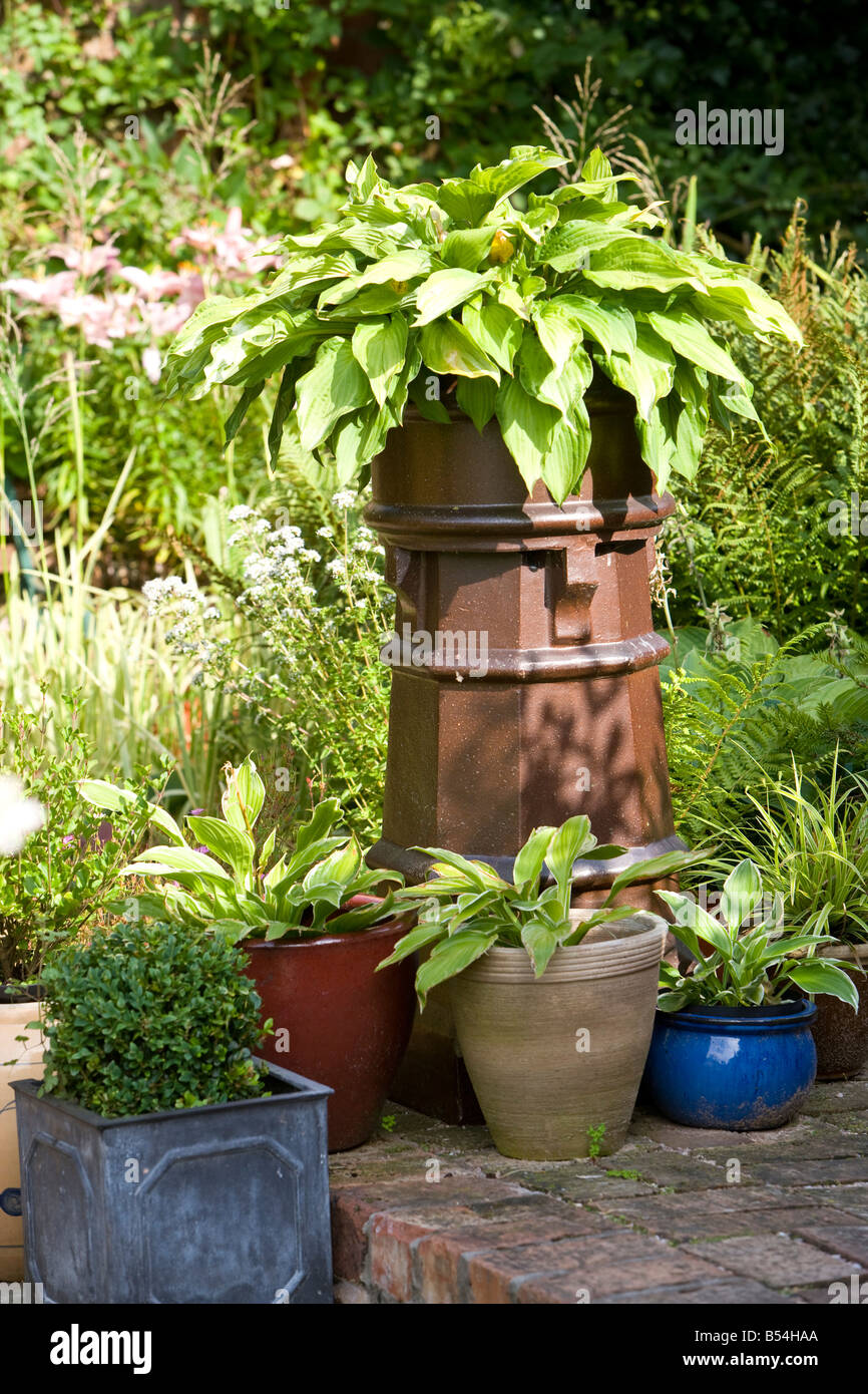 Assorted planters with hostas Stock Photo