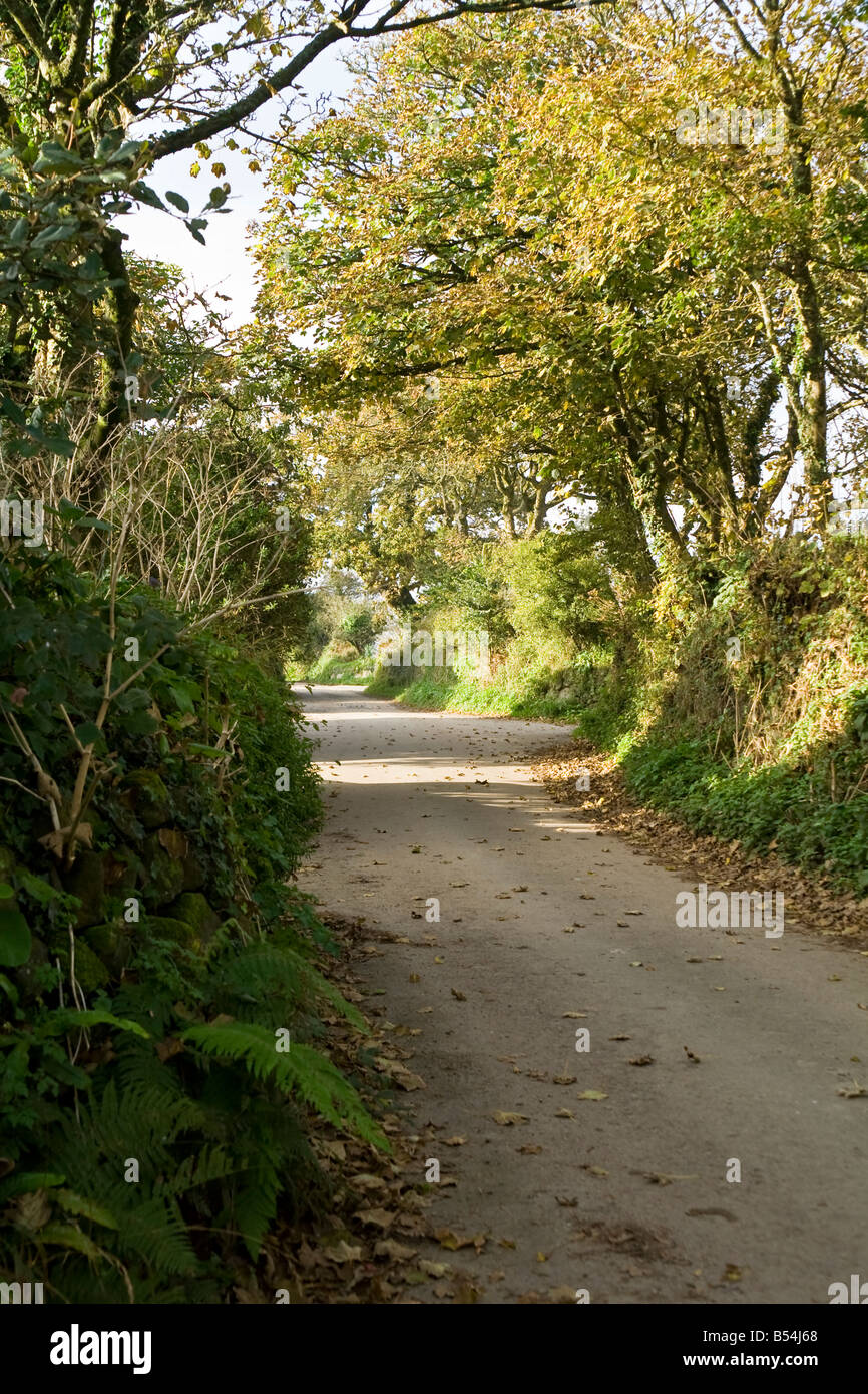 Cornish country lanes hires stock photography and images Alamy