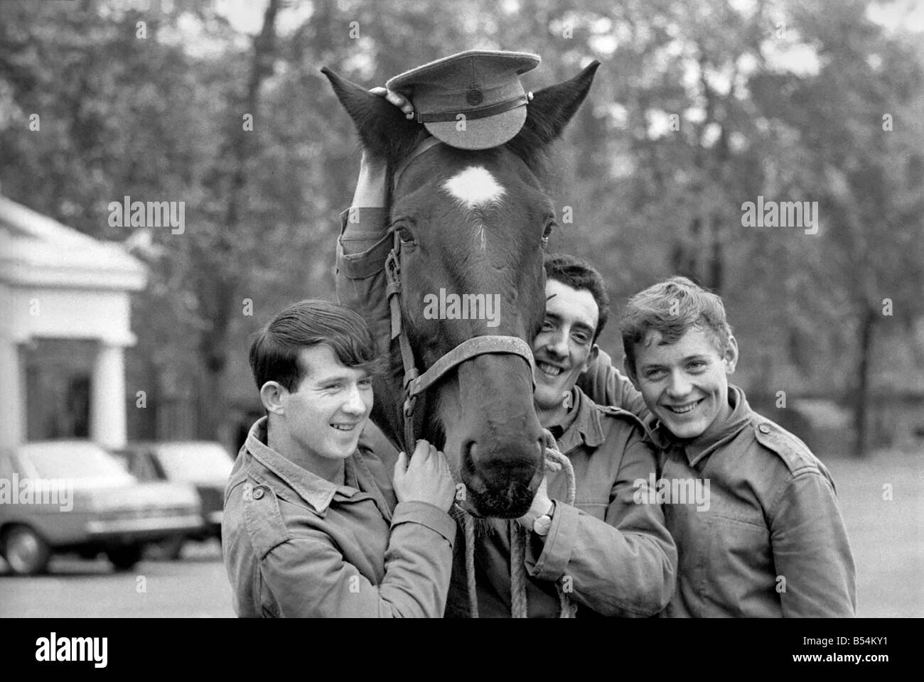 Stalin a young gelding who is one of the Queen's unwanted horses, has been given a reprieve and an attempt to re-train him is about to begin. November 1969 Z11167-001 Stock Photo
