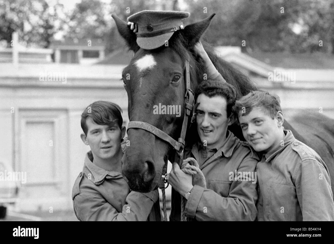 Stalin a young gelding who is one of the Queen's unwanted horses, has been given a reprieve and an attempt to re-train him is about to begin. November 1969 Z11167-002 Stock Photo