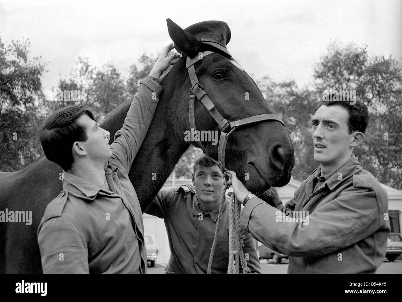 Stalin a young gelding who is one of the Queen's unwanted horses, has been given a reprieve and an attempt to re-train him is about to begin. November 1969 Z11167-003 Stock Photo
