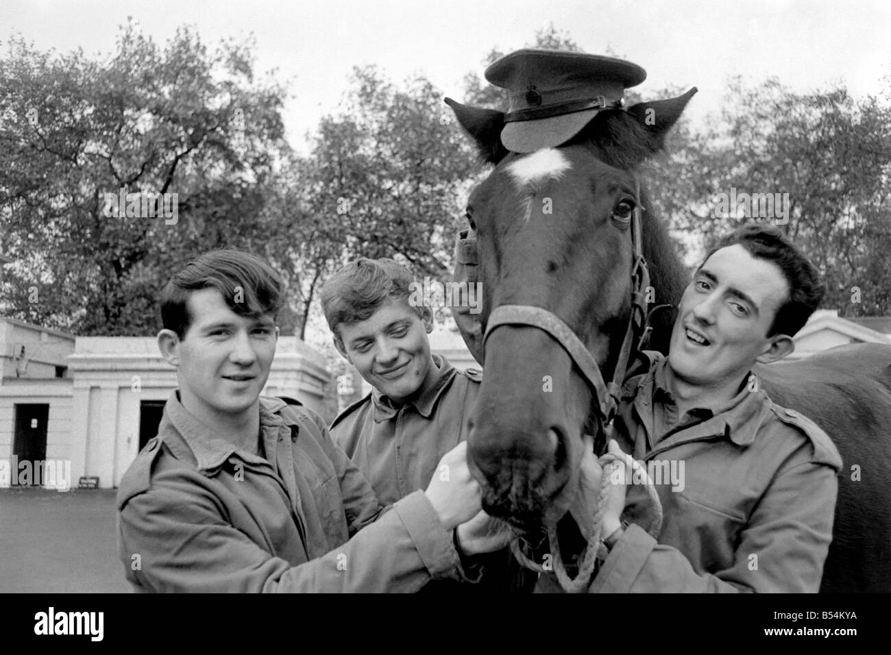 Stalin a young gelding who is one of the Queen's unwanted horses, has been given a reprieve and an attempt to re-train him is about to begin. November 1969 Z11167-004 Stock Photo