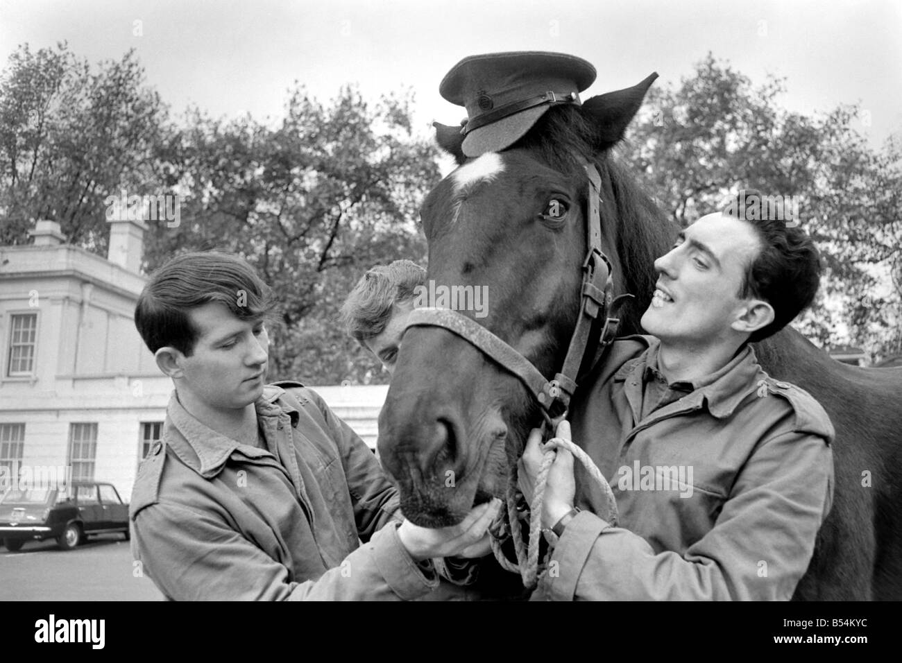 Stalin a young gelding who is one of the Queen's unwanted horses, has been given a reprieve and an attempt to re-train him is about to begin. November 1969 Z11167-005 Stock Photo