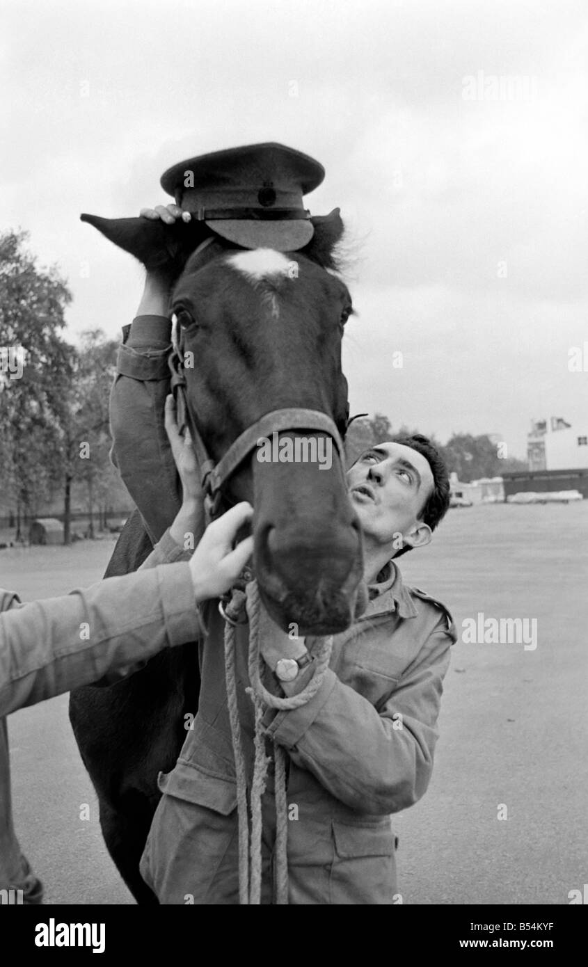 Stalin a young gelding who is one of the Queen's unwanted horses, has been given a reprieve and an attempt to re-train him is about to begin. November 1969 Z11167-006 Stock Photo