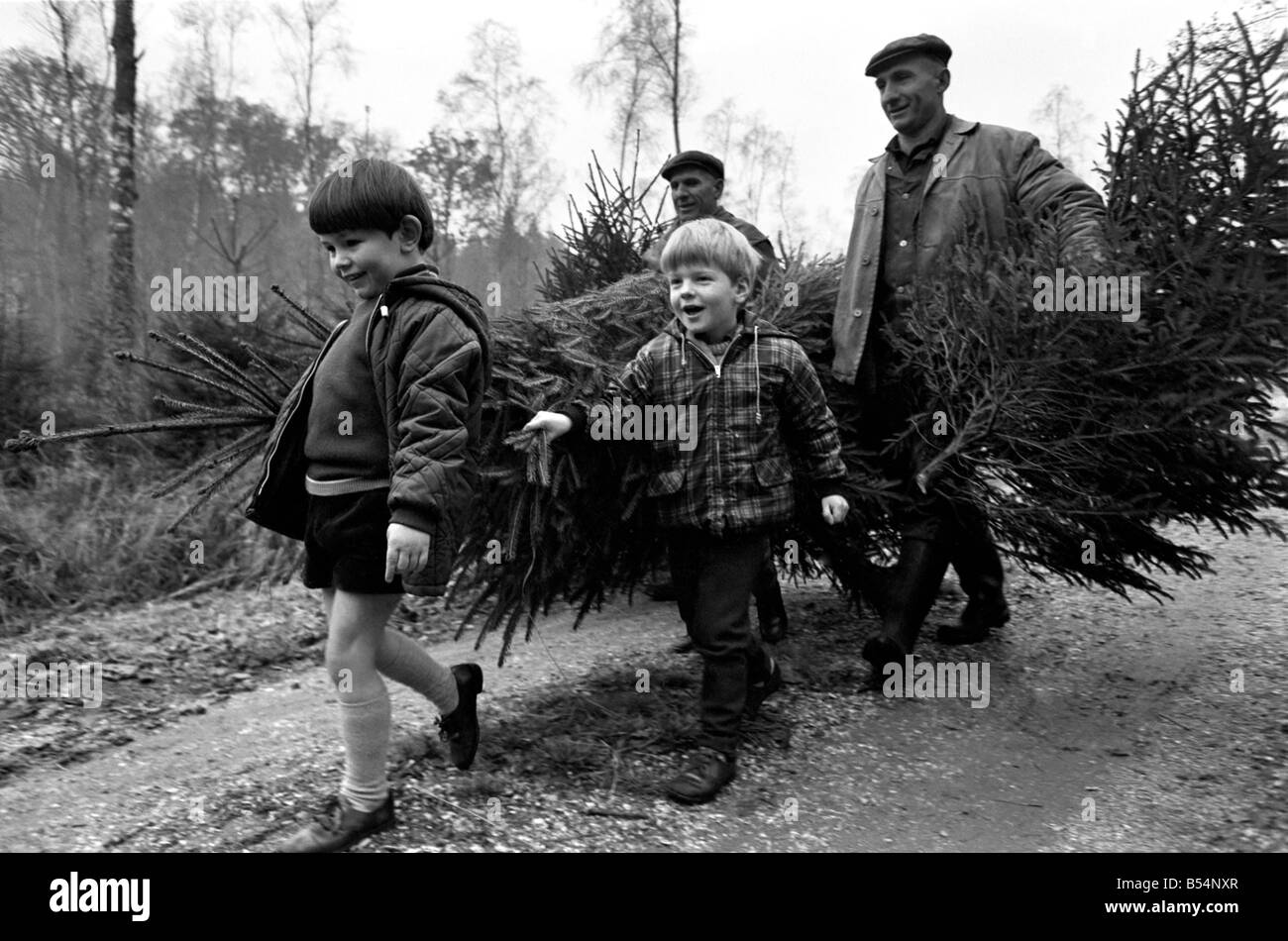 Forestry Commission employees - brothers Eill and Charlie Kitcher ...