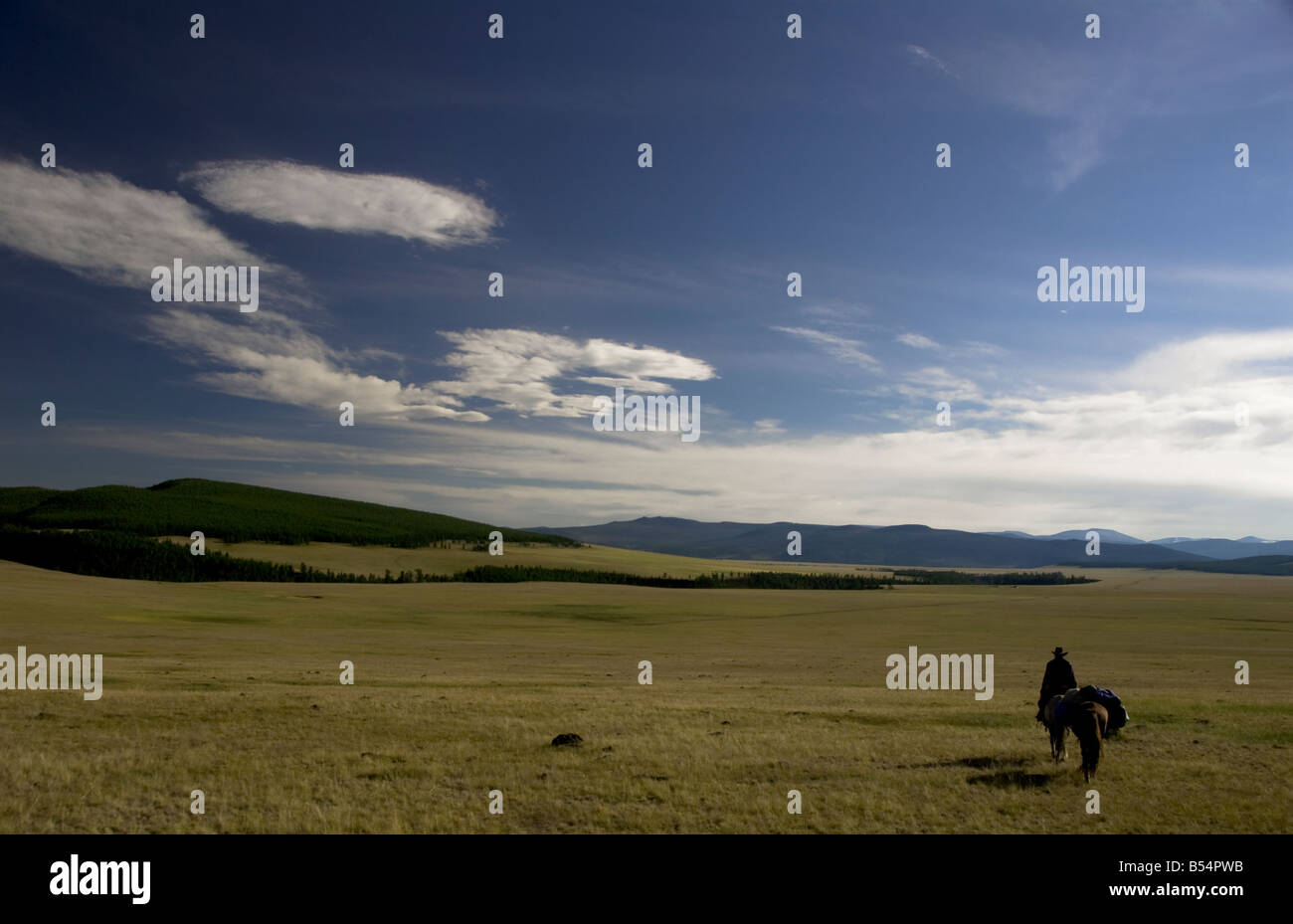 Nomad rider in the steppes of Northern Mongolia, 2008 Stock Photo - Alamy
