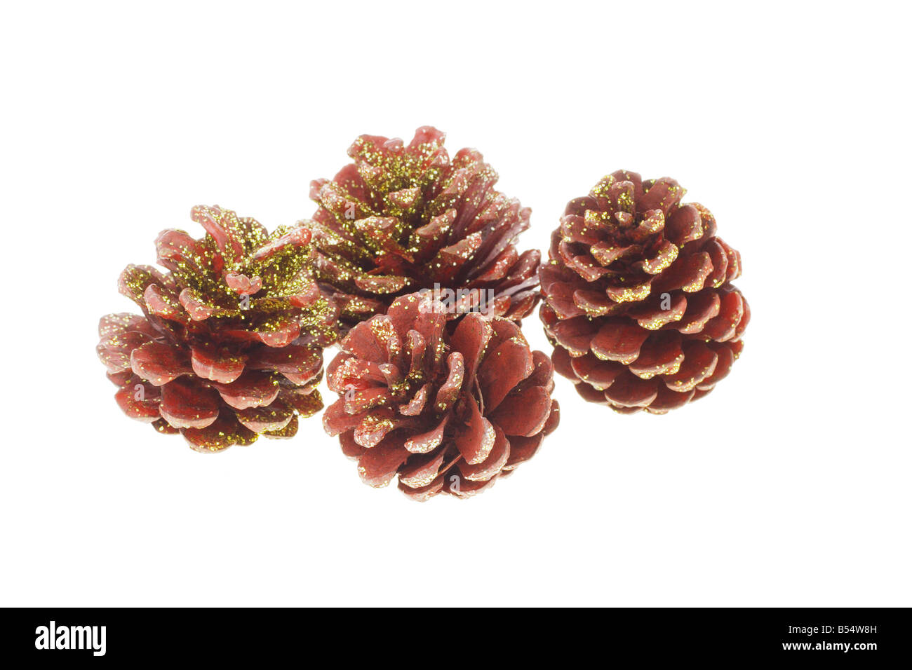 Four pine cones arrange on white background Stock Photo