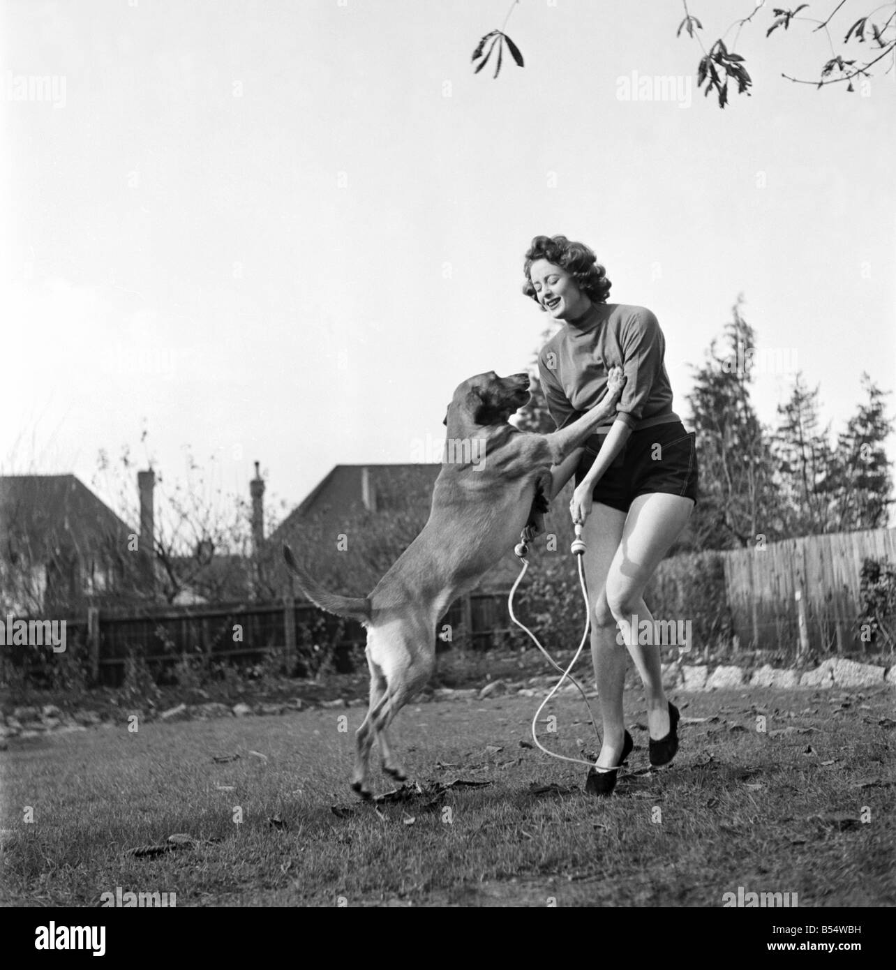 Elspeth Gray actress. The one snag with being an open air girl and trying to skip is to own a large golden Labrador for every time he sees Elspeth skipping in the garden he considers this is some amusement put on for himself, and tries to join in. Nearly always with disastrous results. November 1953 D6555-002 Stock Photo