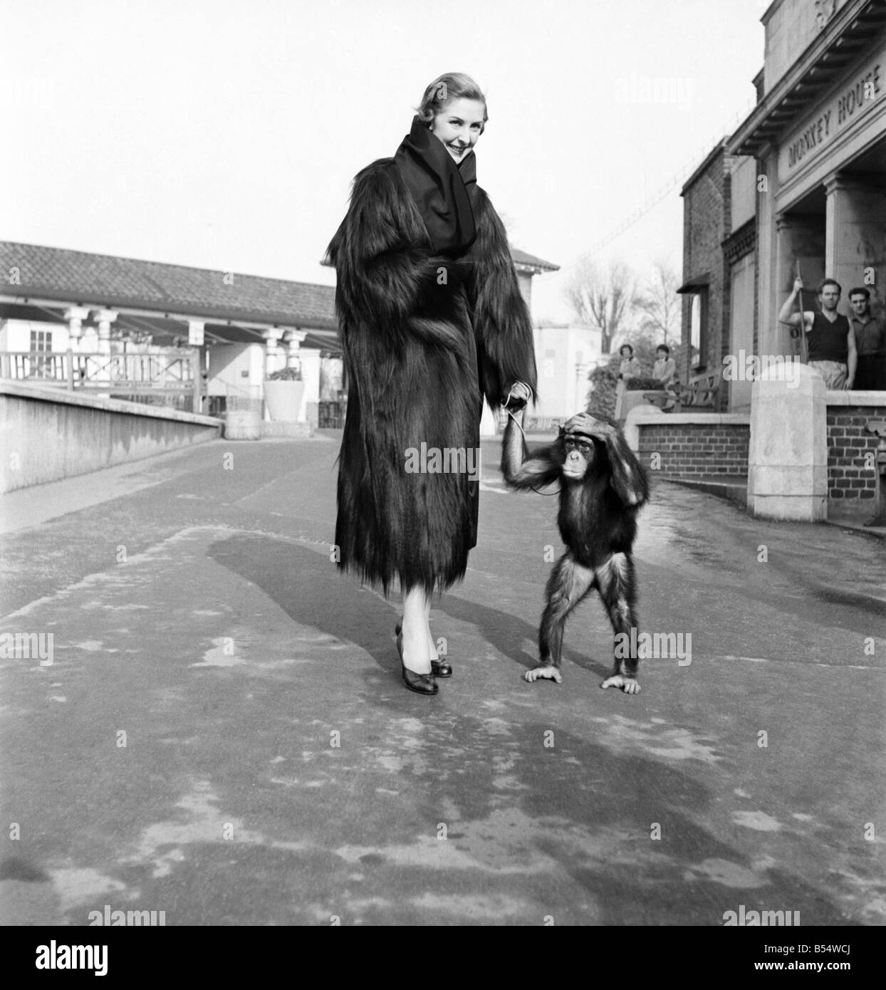 Fur coats 1950s hires stock photography and images Alamy