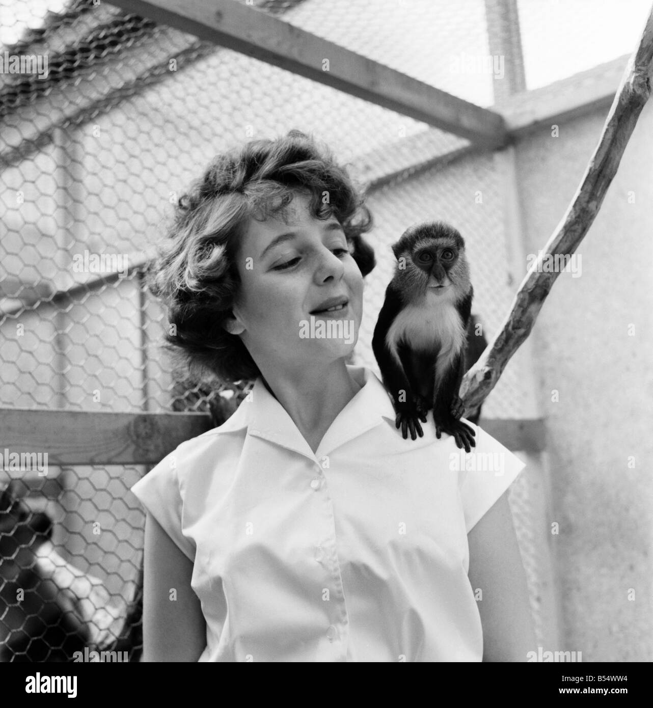 Children at Zoo: Monkey business in the children's corner at Chester Zoo today. June 1960 M4284-004 Stock Photo