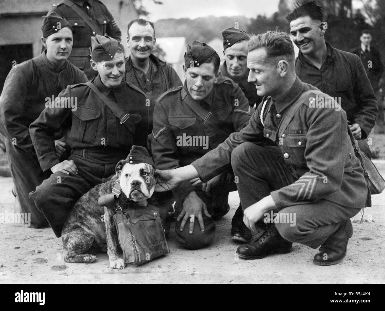 World War II: Mascots: Dogs. Jags the bulldog seen here with soldiers before the preparation to leave for France. October 1939 Stock Photo
