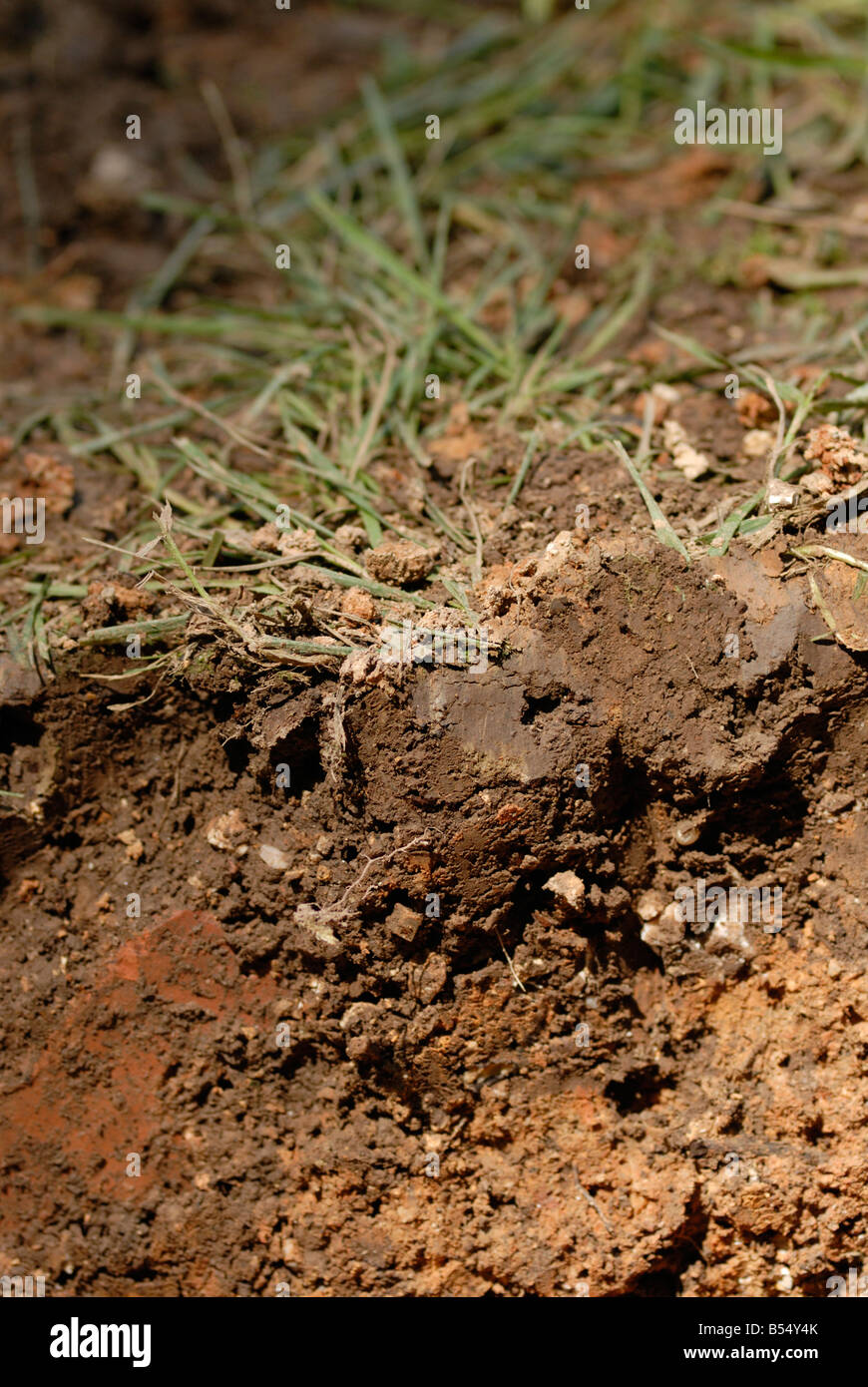 Soil cross section hi-res stock photography and images - Alamy