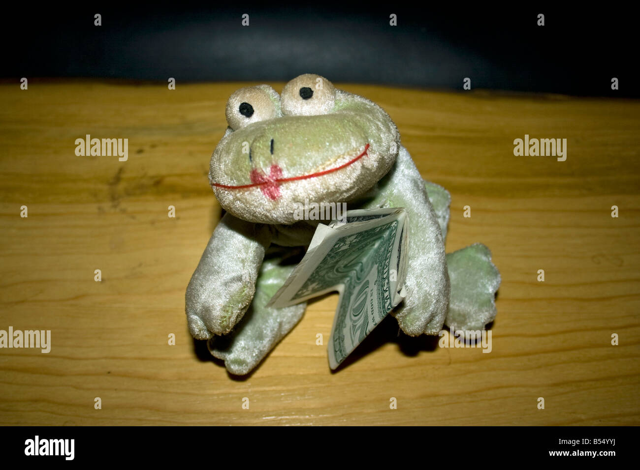 Ms Smiley Frog with all the money she has left Stock Photo