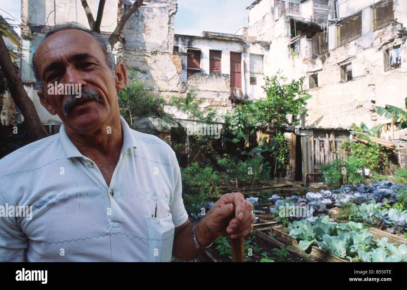 An elderly Cuban man in his market garden in the old part of Havana Cuba Stock Photo