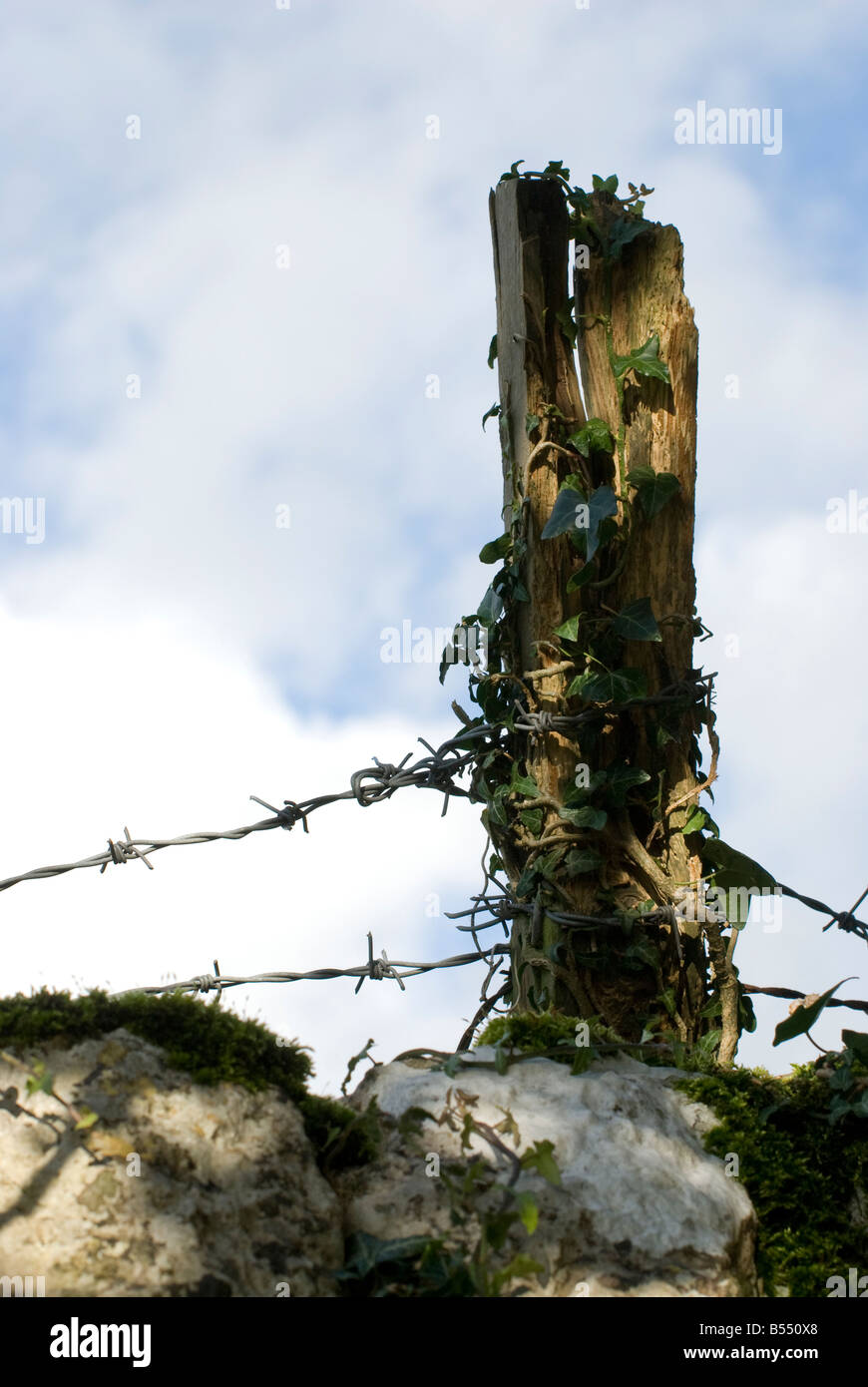rustic wooden post with barbed wire Stock Photo Alamy