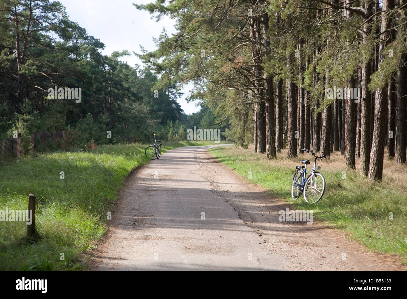 Curonia High Resolution Stock Photography And Images Alamy