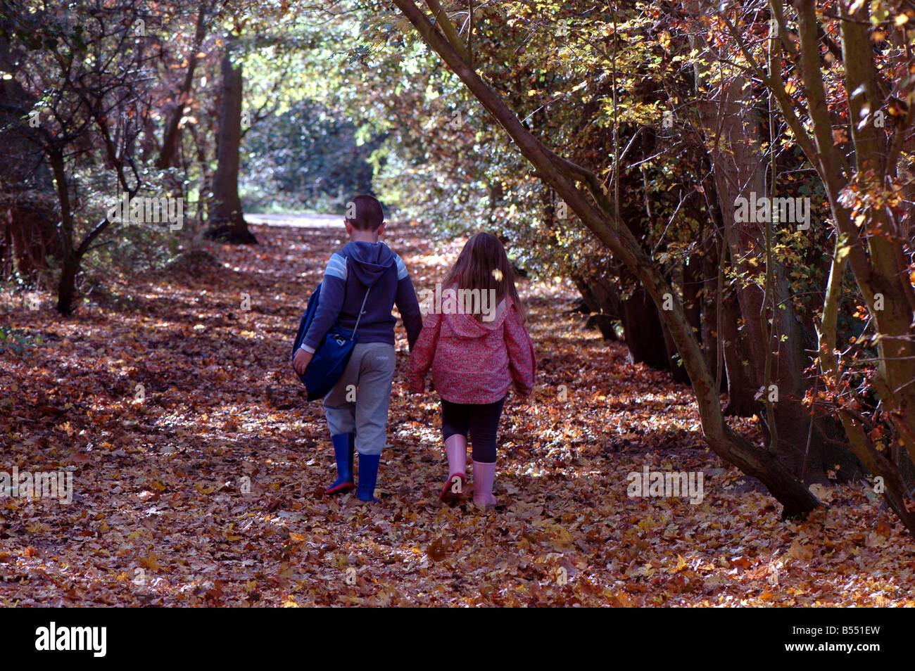 Brother and sister walking through Autumn leaves Stock Photo - Alamy